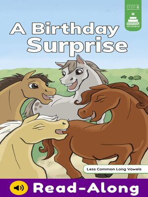 cover image of A Birthday Surprise